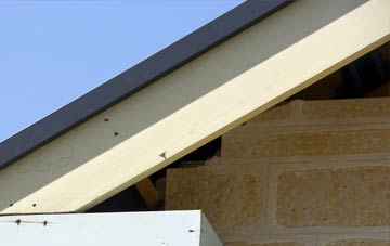 Troston fascia repairs