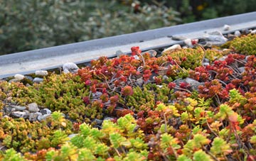the cost of Troston green roof installation